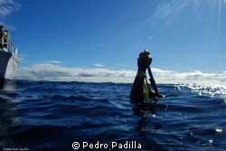 Diver ready to go underwater.
I use my nikon D80 18-55 l... by Pedro Padilla 